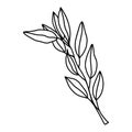 Beautiful delicate illustration of an abstract olive branch on a white background.